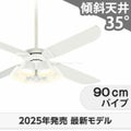 WF054 + WF226LR / WF226NR / WF226WR + WF979P1 オーデリック製シーリングファンライト メイン画像