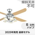 WF055 + WF229LR / WF229NR / WF229WR オーデリック製シーリングファンライト メイン画像