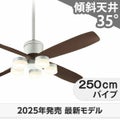 WF080P1(080#+910#) + WF300LR / WF300NR / WF300WR + WF616P1 オーデリック製シーリングファンライト メイン画像