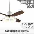 WF090P1(090#+920#) + WF299LR / WF299NR / WF299WR + WF616P1 オーデリック製シーリングファンライト メイン画像