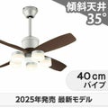 WF090P1(090#+920#) + WF300LR / WF300NR / WF300WR + WF612P1C オーデリック製シーリングファンライト メイン画像